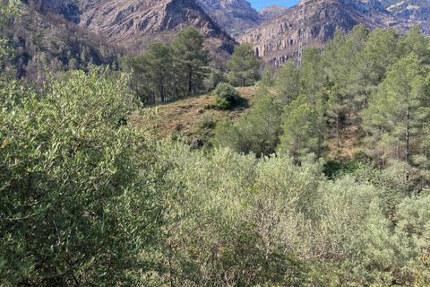 Landejendom i El Perello, Tarragona, El Perello - € 36.000 | Ref: Finca Montanas - foto 23